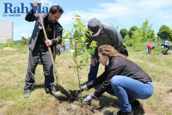 ولوو برای ادای احترام به کمپین درختکاری بزرگراه هیروز پیوست