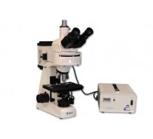 میکروسکوپ آزمایشگاهی فلورسنت TC5000